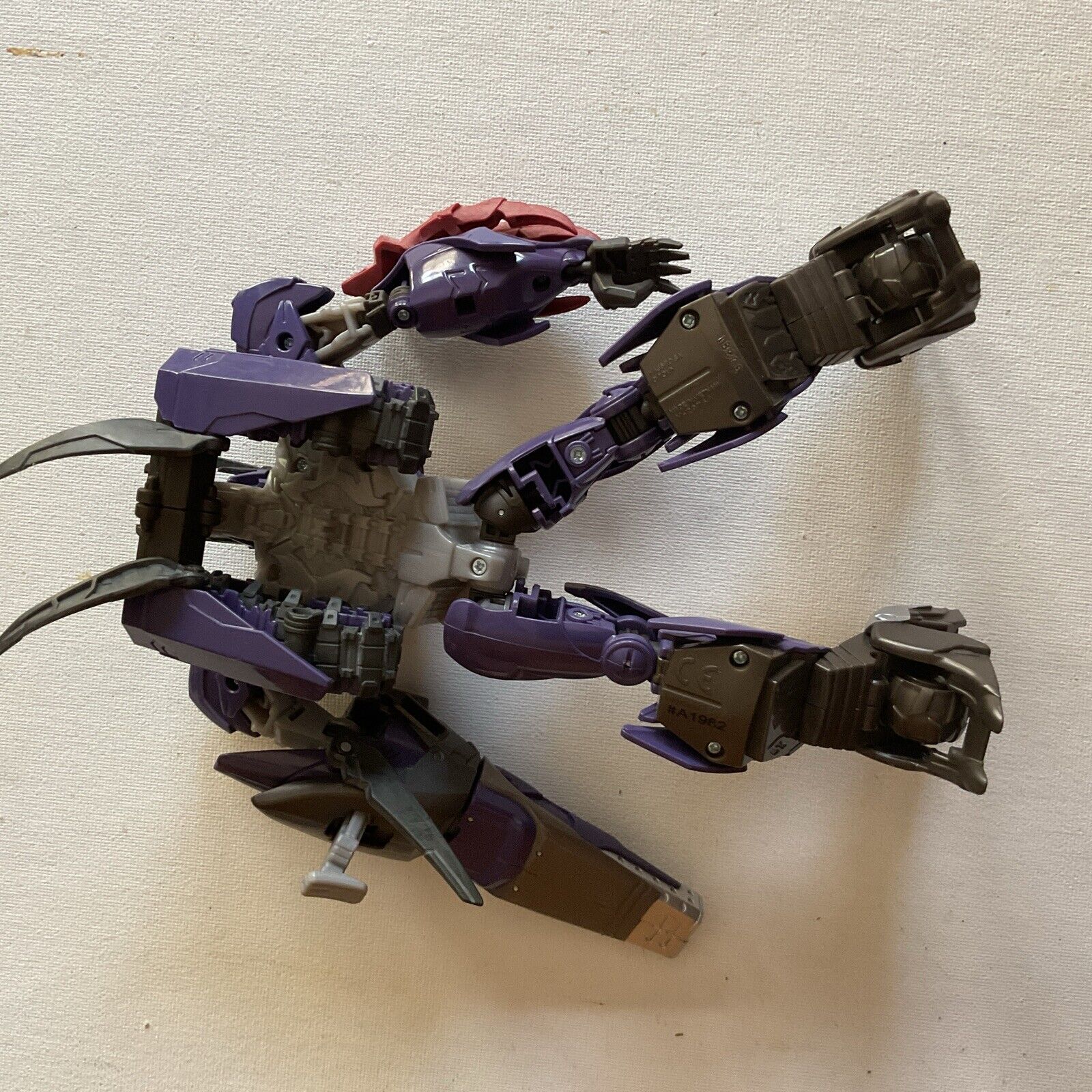 Picture 8 of 10
