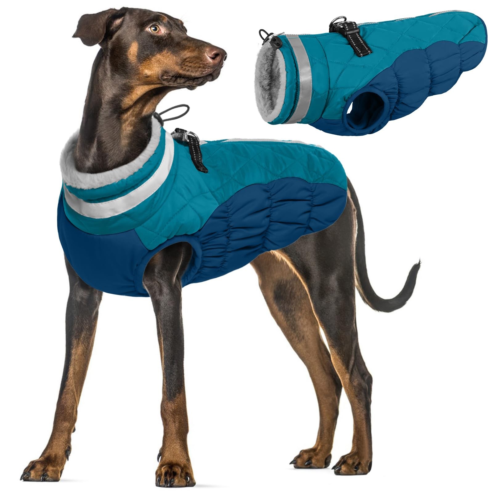 PUMYPOREITY Cappotto Cane Invernale Elegante e Super Caldo