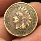 1893 Indian Head Cent / Indian Head Penny, 1 coin, fills a hole