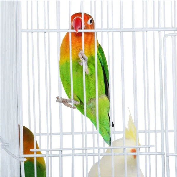 Bild 11 von 12