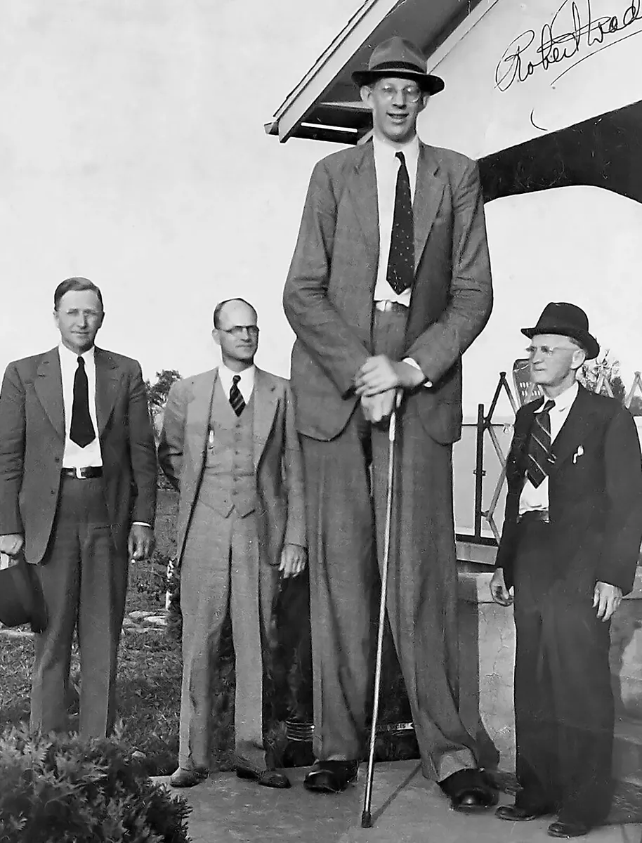 who was robert wadlow