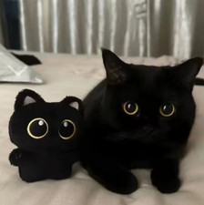 Cute Black Cat Pendant Plush Soft Toy Stuffed Animal Doll Gift Xmas Birthday