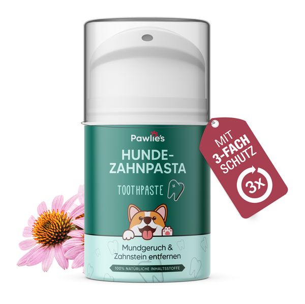 Pawlie's® Hundezahnpasta 50Ml | NatüRliche Zahnpflege Gegen Zahnstein-image