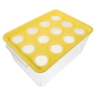 Mini Aquarium Fish Tank: Hydroponic Grow Kit with Planter Lid - Plastic