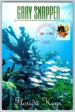 #5363 Coral Reefs Elkhorn Coral and French Angelfish Maxi Card