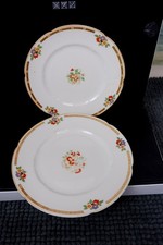 Set vintage collectible porcelain plate made by W.H. Grindley & Co Floral Dinner