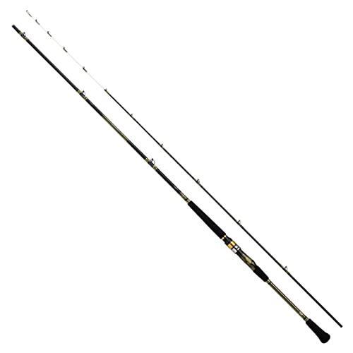 格安‼️Daiwa 海・川Bay GameModelSEAHawk11TM Daiwa ANALYSTAR 73 30-210 - Q Offshore Boat Rod | eBay