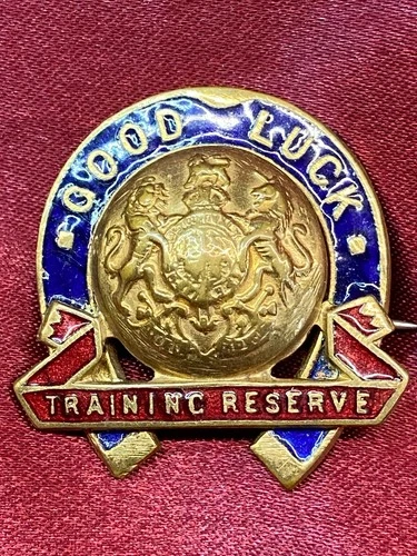 Genuine WW1 Training Reserve Enamel Pin Badge w/fixing