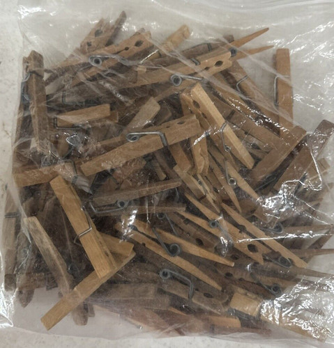 Bag Of Regular Clothes Pins