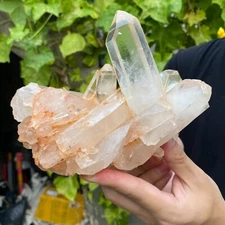 1150g Natural White Clear Quartz Crystal Cluster Raw Healing Specimen