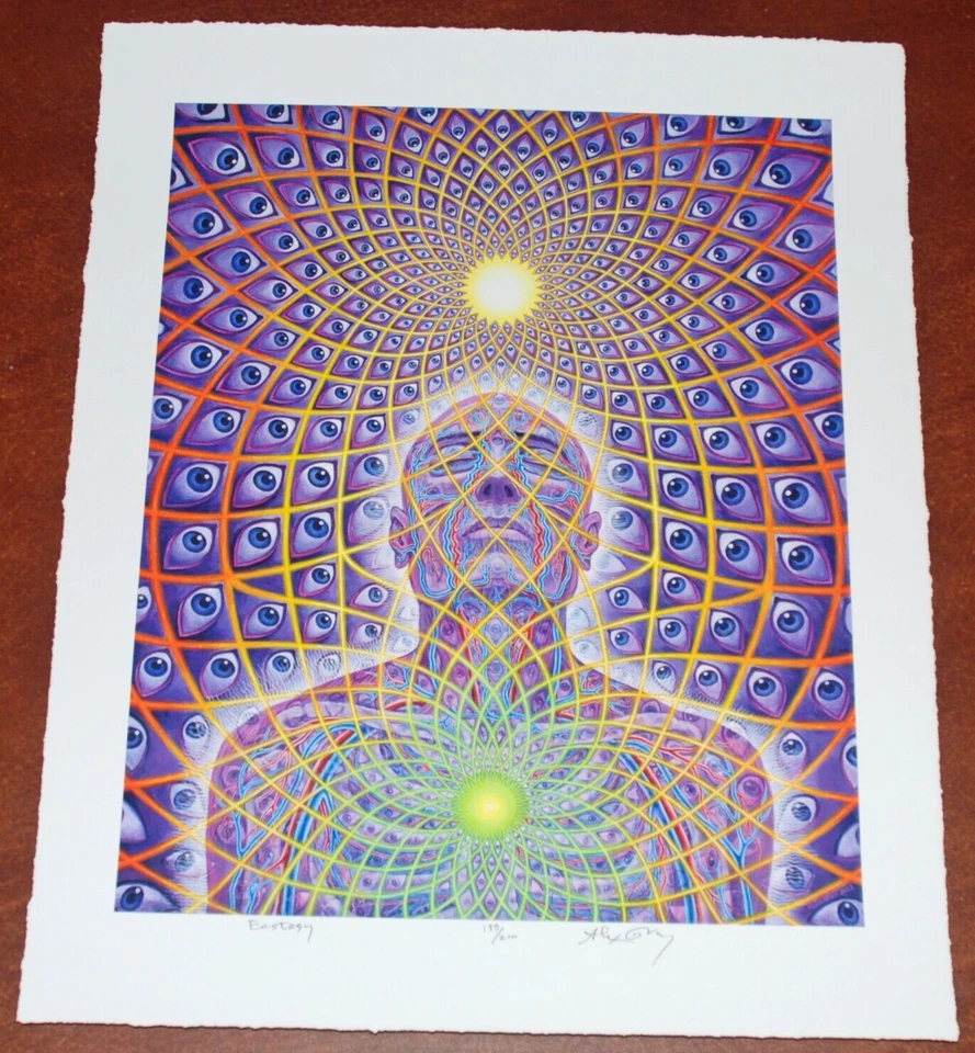 Alex Grey Kunstdruck Ecstasy S/# 139/200 mit COA Tool Poster Künstler Psychedelic - Bild 2 von 4