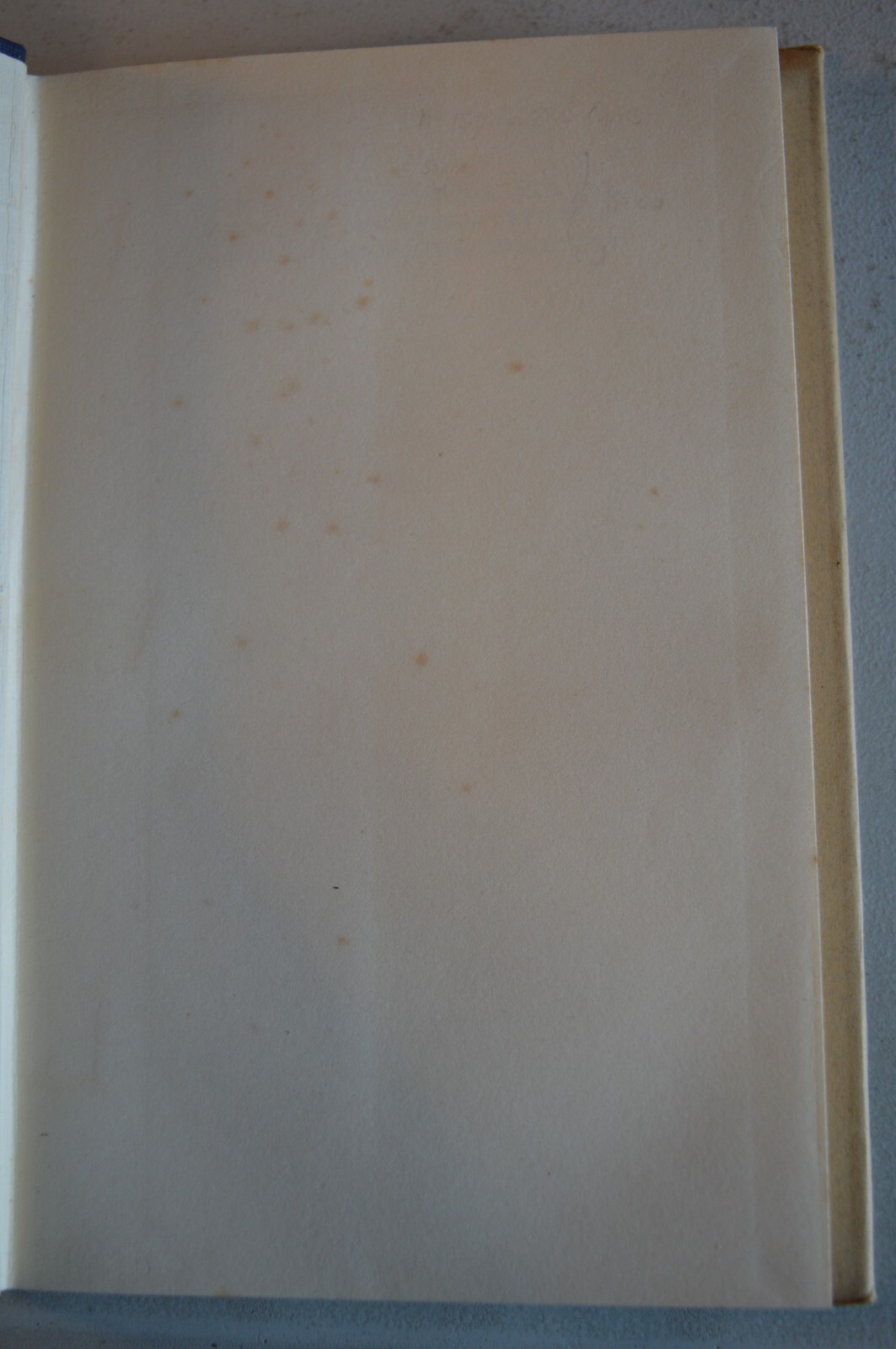 Picture 6 of 12