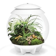 BiOrb Air 30 Terrarium - White
