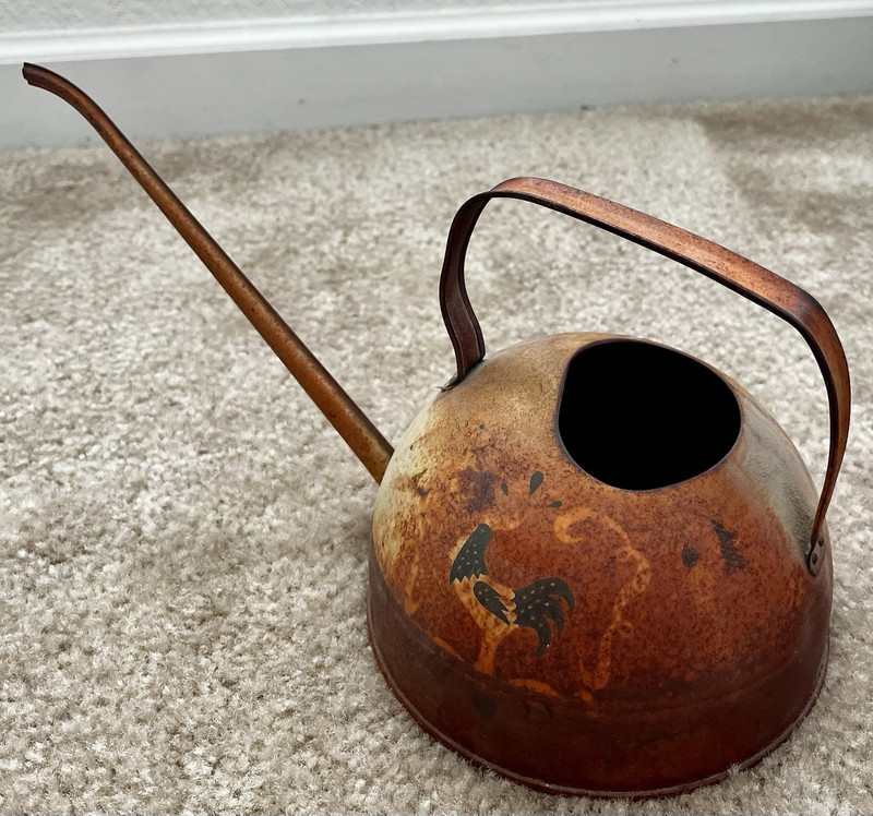 Metal Long Reach Watering Can Long Spout, Brown/Beige, 0-2 gal