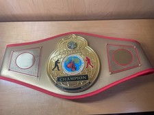 Adult TITLE Boxing Gold Flash Title Belt Metal Emblem Gold Faux Leather