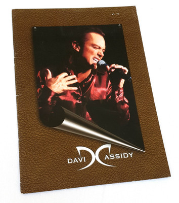 David Cassidy - 2002  Rock Me  Australian Tour Souvenir Program book & Ticket