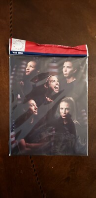 USWST Wall Cling, Great Souvenir From Our US Women's Soccer Team