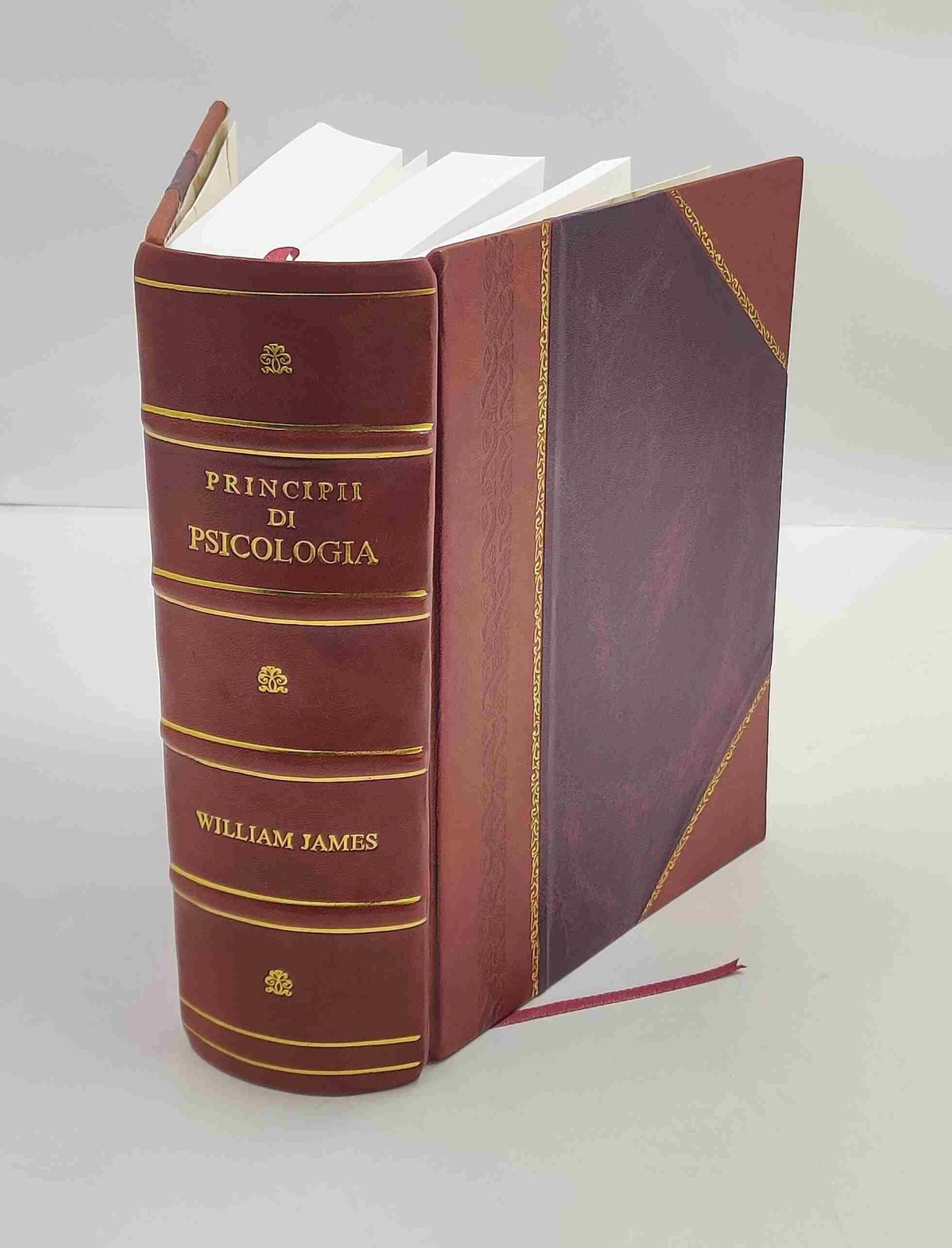Principii di psicologia 1901 by William James, G C Ferrari(Tr) [Leather Bound]