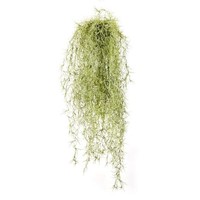 Artplants Kunst Tillandsia Usneoides Irmena, Steckstab, GrüN-Gelb, 80Cm