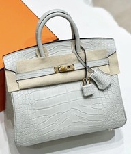 Newest Hermes Birkin 25 Gris Neve Gray Matte Crocodile GHW Complete Pkg Giftable