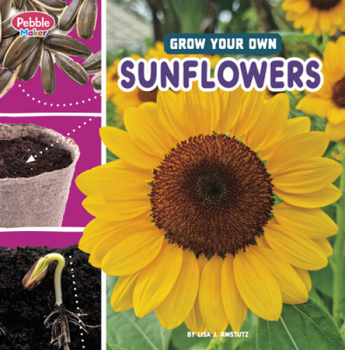 Grow Your Own Sunflowers (Pebble Maker Grow) by Lisa J. Amstutz