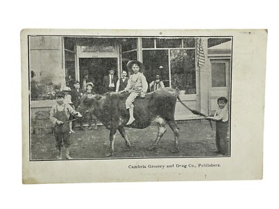 Antique Cambria Grocery & Drug Company Postcard Children Posing with a Cow