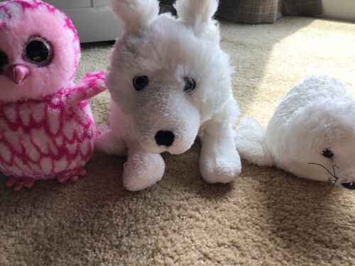 LOT GANZ WEBKINZ TY STUFFED PLUSH ANIMALS TOYS PINKY OWL WHITE FOX SEAL DOG GIFT - Picture 5 of 12