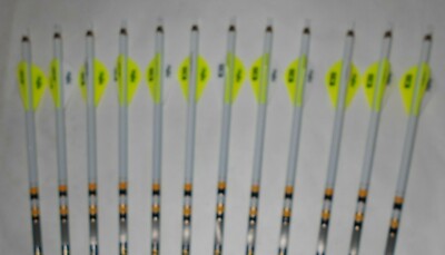 12 Gold Tip Hunter Pro 340 Carbon Arrows! Custom White Dip Crest/Blazer Vanes