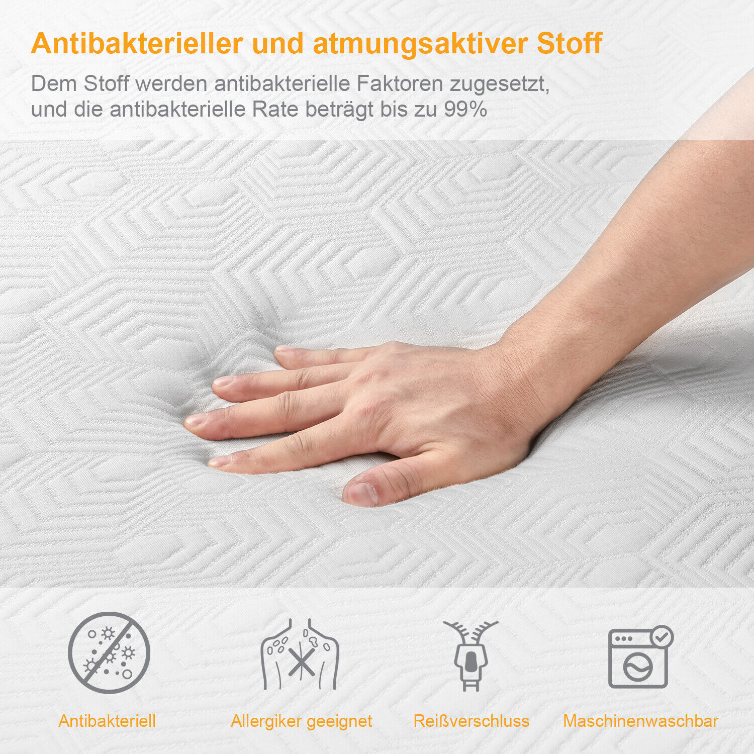 Bild 10 von 14