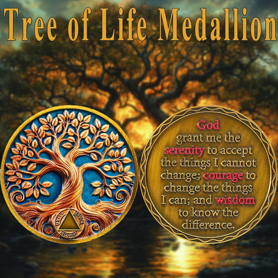 8 Years Sober Eight Year Sobriety Coin Alcoholics Anonymous AA Chips Medallions - Image 2 of 4