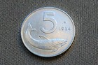 Foto 6 di 12