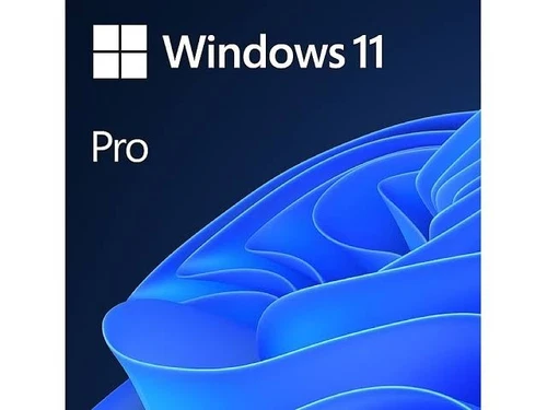 Win 10/11 Licence | Lifetime License