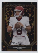 2024 Goodwin Champions Platinum Tortoise Shell 31/149 Dillon Gabriel #P41 1o5v