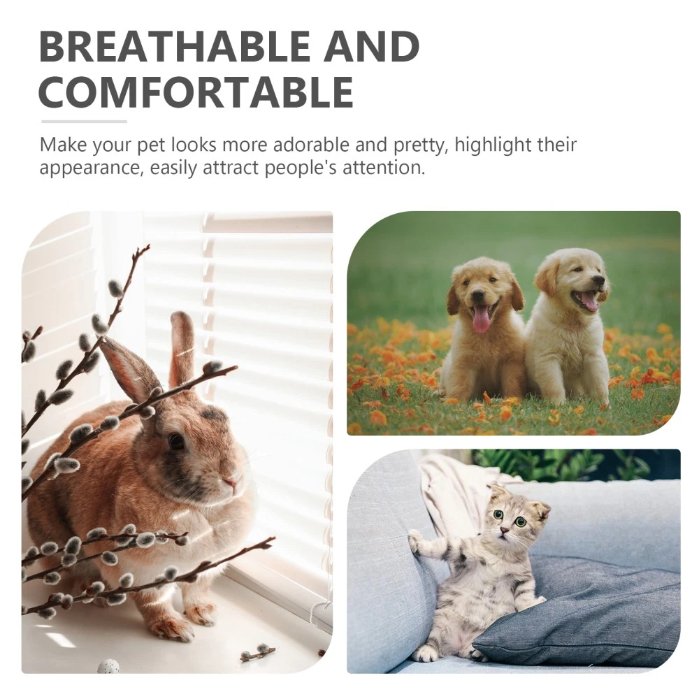 VETEMENTS Abbigliamento Per Animali Domestici Miss Cucciolo Outfit Cappotto per Animali Domestici Cane Piccolo