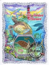 Bloc Used Tortues Marine Life Eau Sea Les Tortues Marines