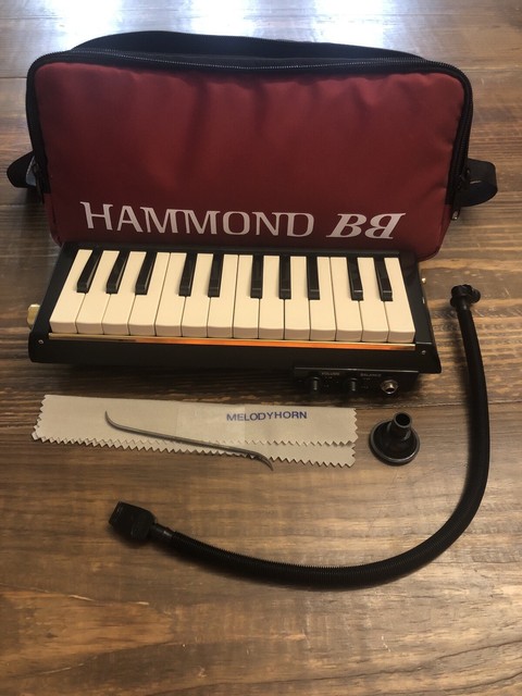 Suzuki hammond melodion
