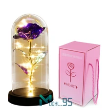 Enchanted Crystal Flower Gift Galaxy Rose in Glass Dome Your Valentines Day Gift