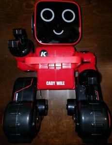 cady wile robot