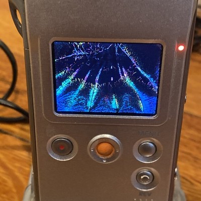 Panasonic SV-AS10 D-Snap 2.0MP SD MULTI Digital Camera For Parts