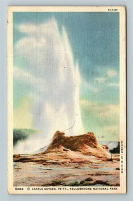 #ad #ad Yellowstone National Park WY Wyoming Castle Geyser Vintage Postcard $0.99