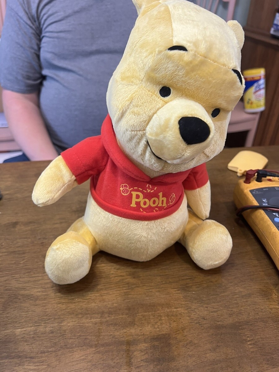 Winnie the Pooh 11