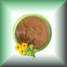 Arnica Extract Powder - ARNICAmfort  Arnica Montana Extract High Concentration