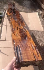 72"X8"X4 3/4" Old Growth ULTRA RARE Pecky Sinker Cypress Finished Wood Mantel