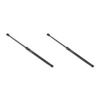 Gasfedern-Set Koffer-/Laderaum 553 Mm 530 N Hub 171 Mm Stabilus FüR Honda