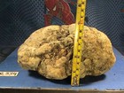 Brecciated Jasper Agate, Solid Rough Lapidary Specimen, 6 LBS, 6 OZ, #R334 — photo 4