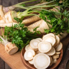 400 HAMBURG ROOTED PARSLEY  - FRESH SEEDS FRESH HARVEST FOR GARDENS