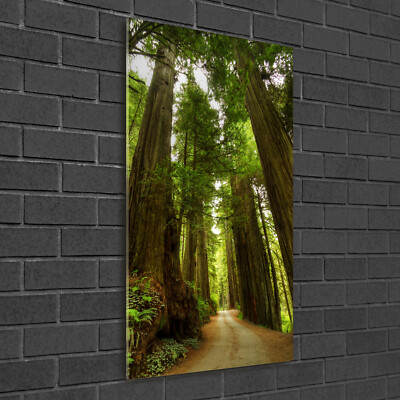 Wand-Bild Kunstdruck aus Hart-Glas Hochformat 50x100 Pfad im Wald