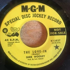 HEAR - HIPPY HATER C&W WAVY GRAVY - SHEB WOOLEY - THE LOVE-IN - M-G-M