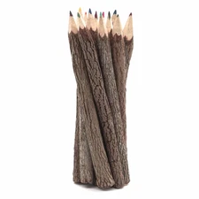 BSIRI Bark 7 Inch Colors Pencils Set Assorted-Stick Twig of Wood Pencils Outd...
