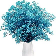 Dried Baby's Breath Flowers Blue 17 Inch Natural Bulk 3000 Buds Gypsophila